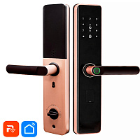 Дверной замок WIFI PS-Link PS-K2 розовое золото, биометрический, отпечаток пальца, временный пароль, ключ, карта