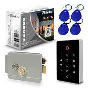 Система СКУД Ps-Link KIT-T12EM-G с электромеханическим замком